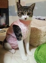 クリックで拡大