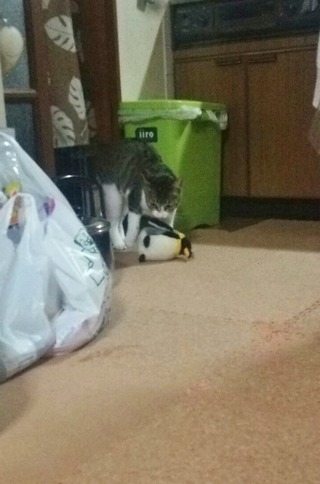 クリックで拡大