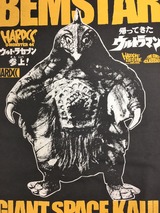 クリックで拡大