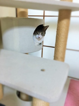 クリックで拡大