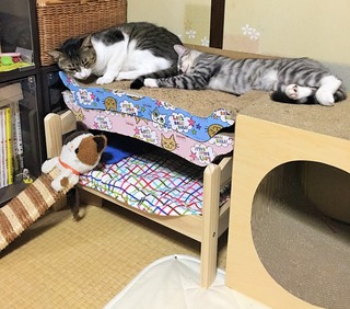 クリックで拡大