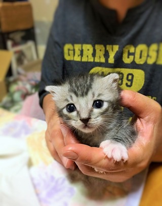 クリックで拡大