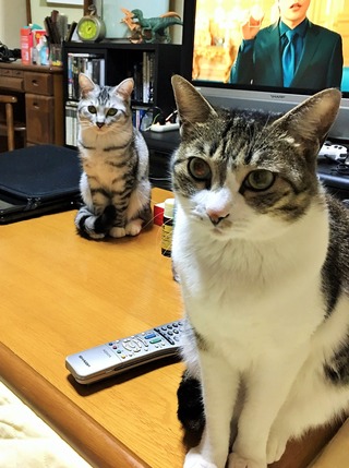 クリックで拡大