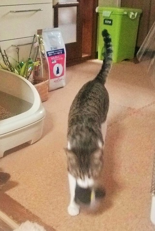 クリックで拡大