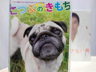 クリック拡大