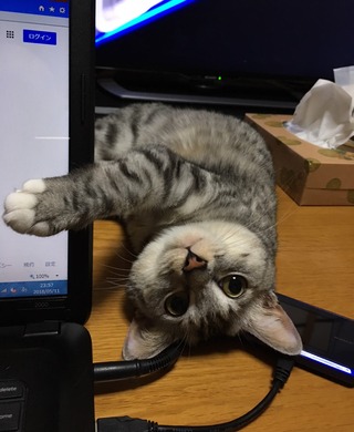 クリックで拡大