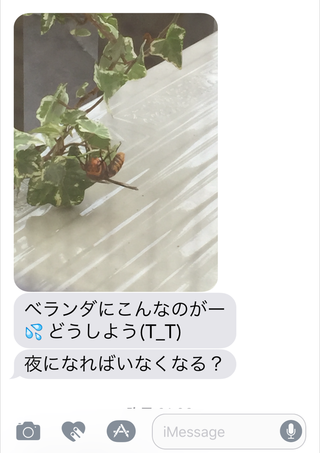 ¥¯¥ê¥Ã¥¯¤Ç³ÈÂç