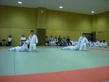 b8e70206.jpg