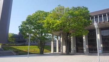 20180422_082019