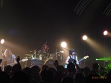 FliP3
