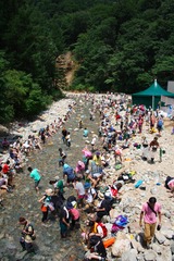 th_IMG_6452