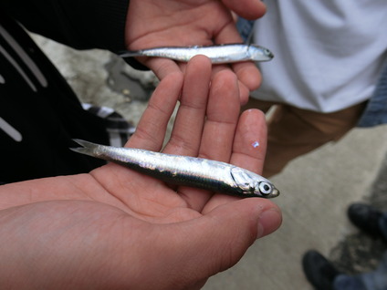学生9