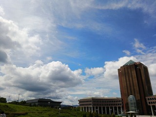 DSC_1126