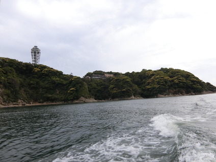 海11
