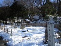 4kiniwa
