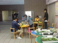 こけ玉