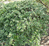 f67c202c.jpg