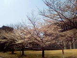 Image002