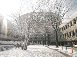 Image01