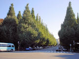 4752e018.jpg