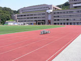 f4135363.jpg