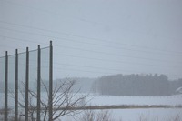 雪
