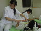 ��ǯ����̮��