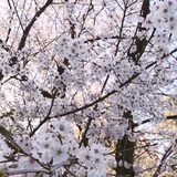 10d7d2f9.jpg