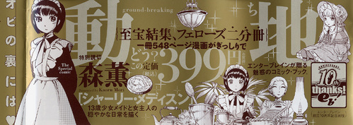 fe001002b
