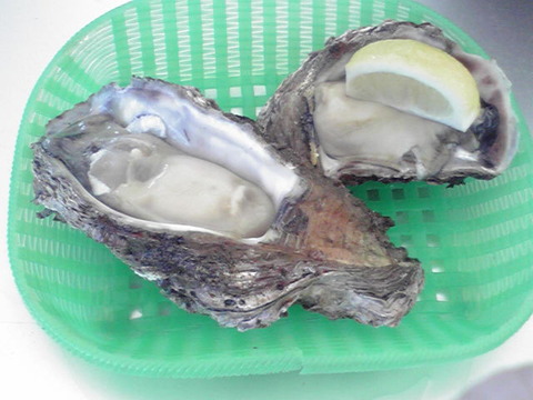 岩ガキ