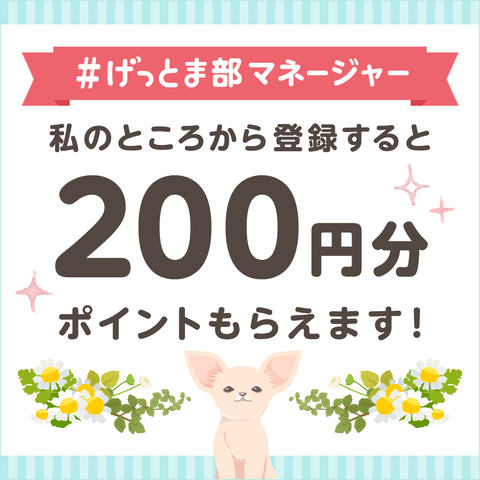 gm_manager_a