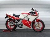 tzr1kt1
