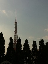 IMG_0952