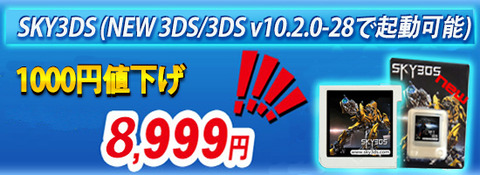 SKY3DS1021