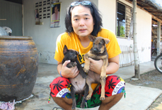 犬