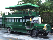 ドリームワールドの車