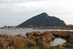 沼