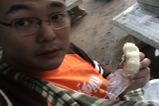 447667e4.jpg