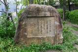 中央公園