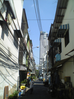 73075343.jpg