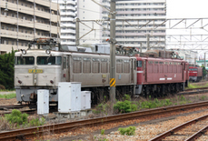 EF81-303