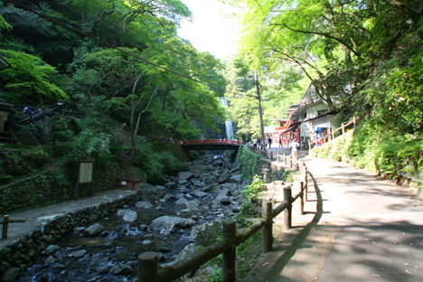 箕面の滝1