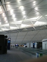 8ff8390f.jpg