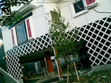 9c784649.jpg