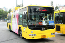 citra 1