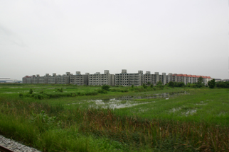 団地
