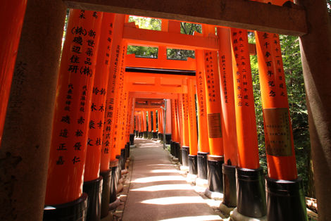 伏見稲荷 鳥居