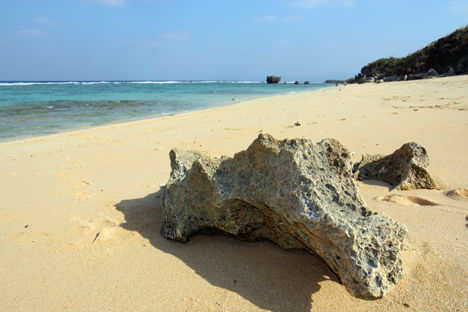 サンゴ岩 at 古宇利島