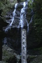 飛竜