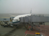 ff839333.jpg